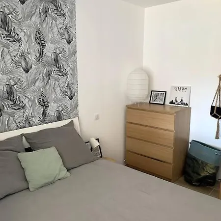 A 10min D'hossegor, T2 Avec Jardinet Et Terrasse Apartment