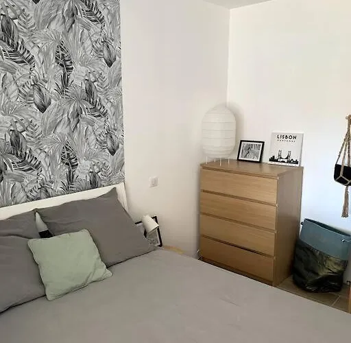 A 10min D'hossegor, T2 Avec Jardinet Et Terrasse Apartamento