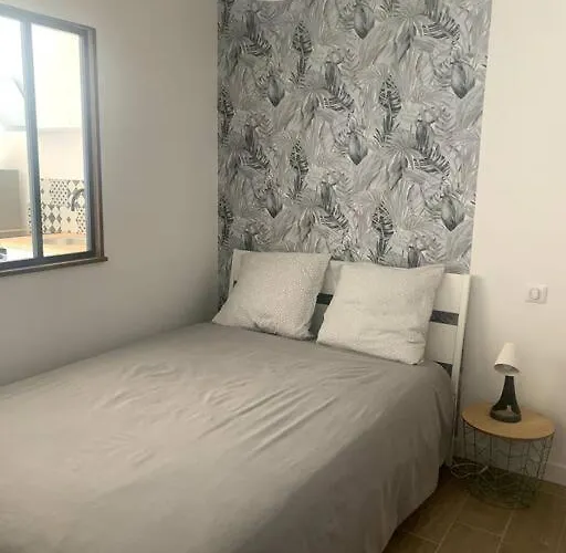 Apartamento A 10min D'hossegor, T2 Avec Jardinet Et Terrasse Tosse